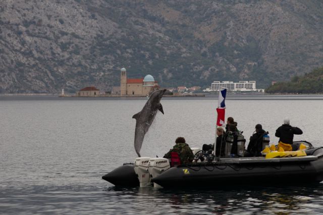 navy_kotor_montenegro