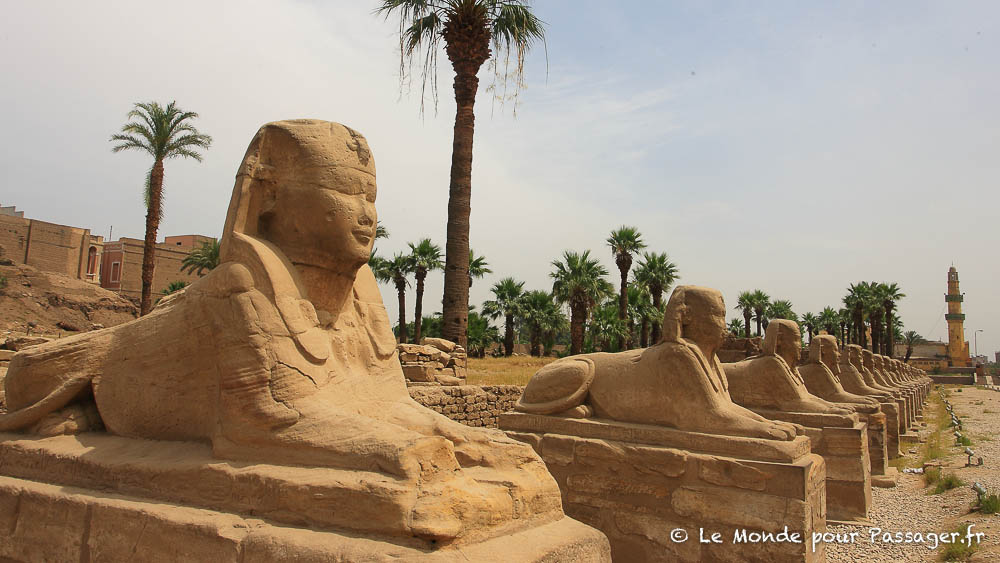 EGYPTE-MELLET017
