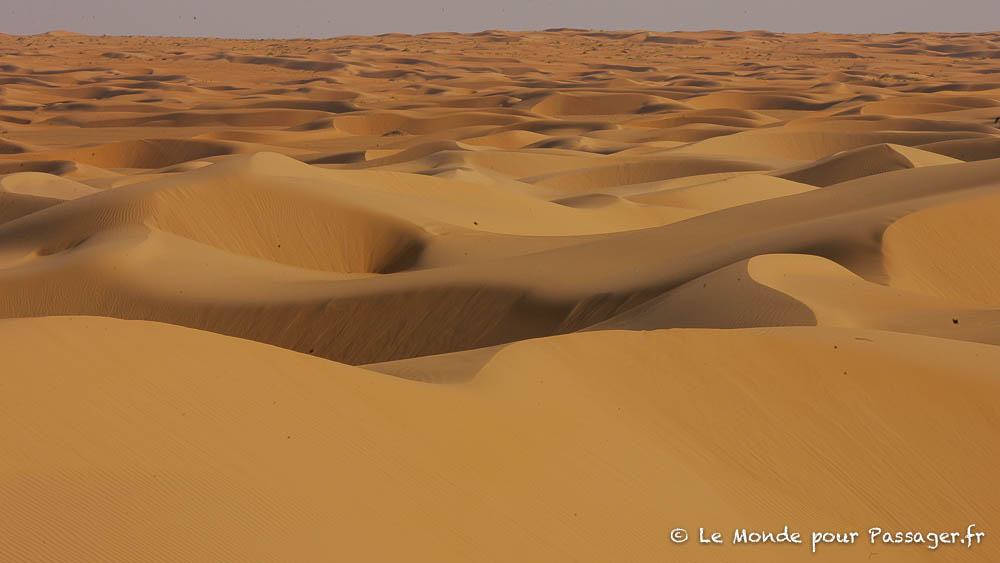 MAURITANIE-MELLET007